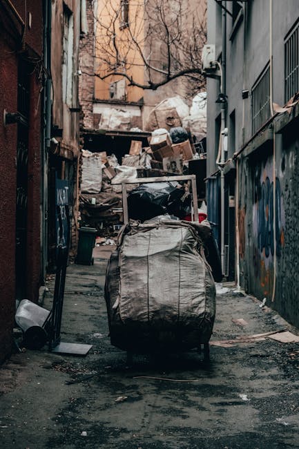 Lewisham business waste and commercial rubbish removal options
