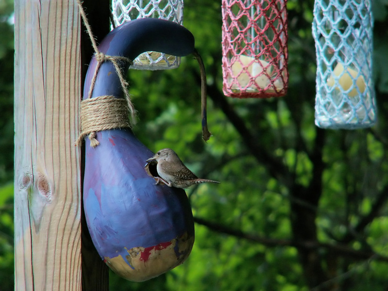 Transform the Way You Deal with Waste Using Rubbish Removal Bags over Skips