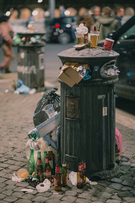What Lewisham Council rules say about rubbish disposal